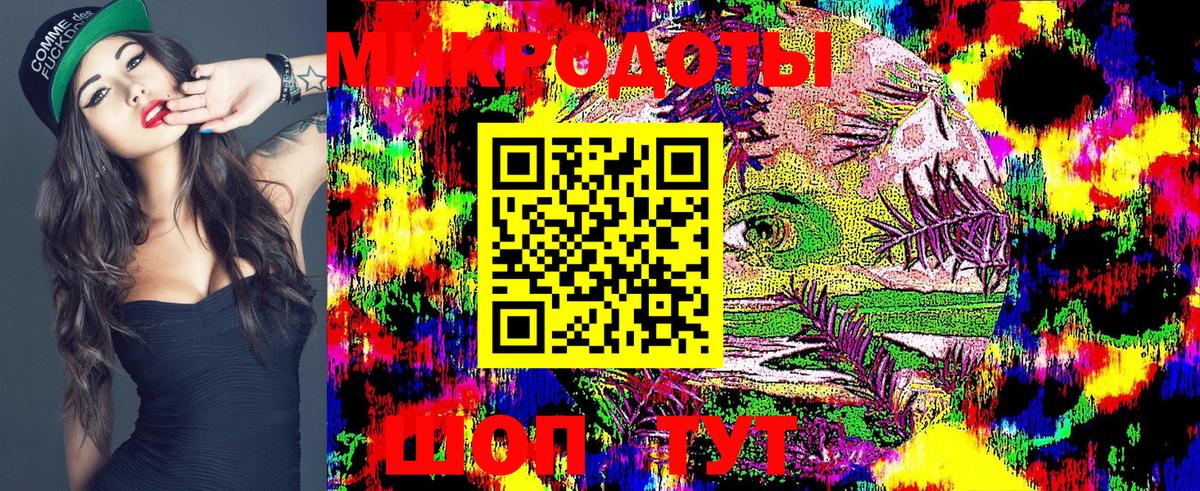 Псилоцибиновые грибы Cubensis Ессентуки